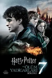 Harry Potter 8