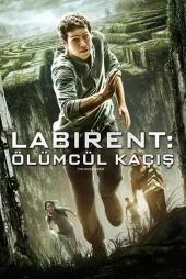 Labirent 1