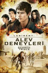 Labirent 2